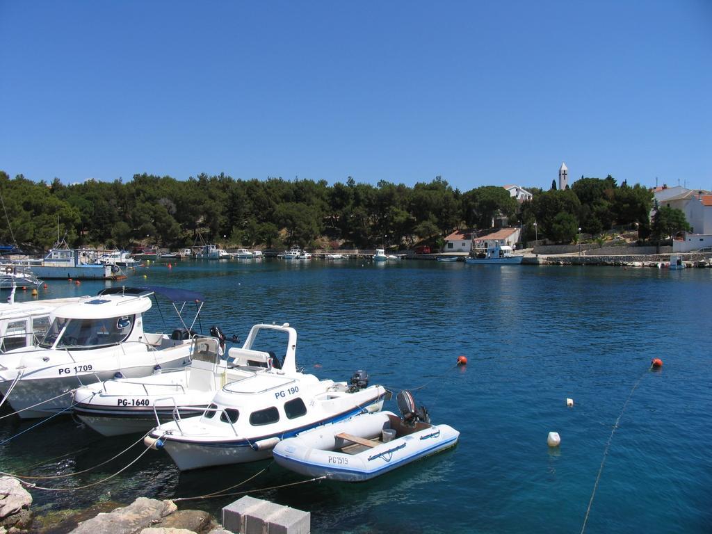 Apartman Sanmar *